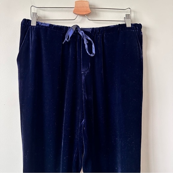 JOIE-DYRE Velvet Drawstring Jogger Pants (Size:Large) - Picture 5 of 11